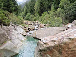 fischen in meiringen