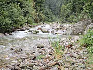 fischen in meiringen