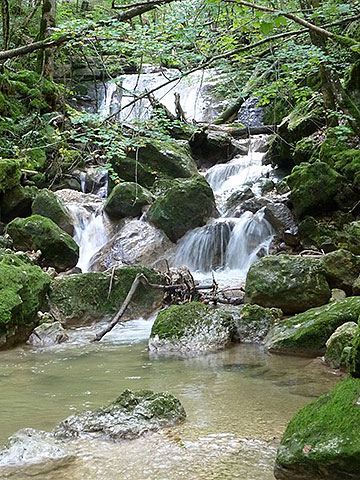 fischen in meiringen