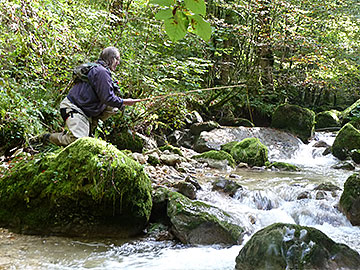 fischen in meiringen