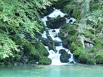 fischen in meiringen